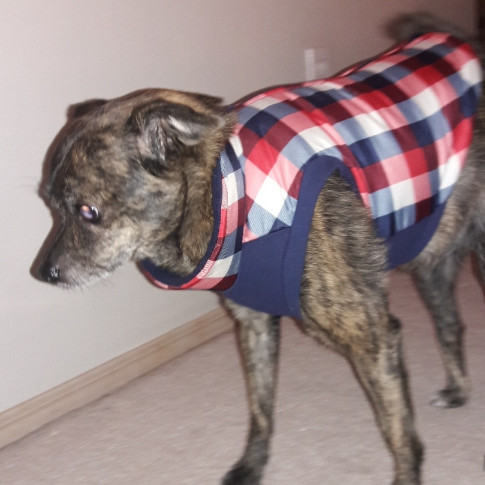 NWT 🐶 dog vest plaid small plaid puppy pet